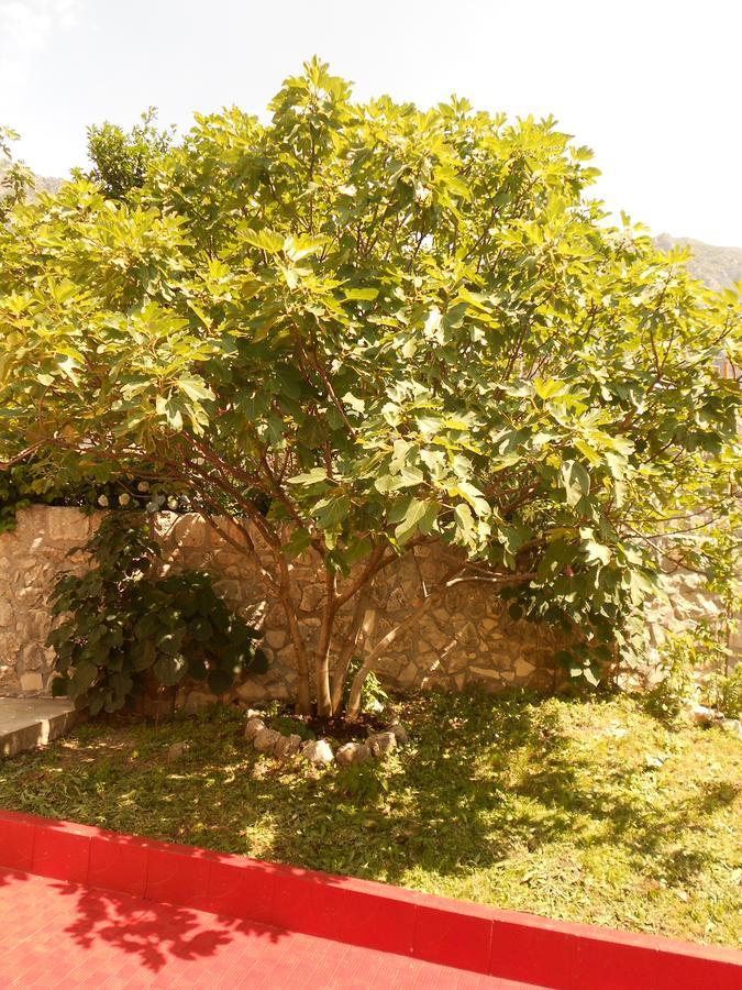 Lorena Rooms Risan Exterior foto